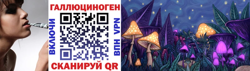 Галлюциногенные грибы GOLDEN TEACHER  Приозерск 